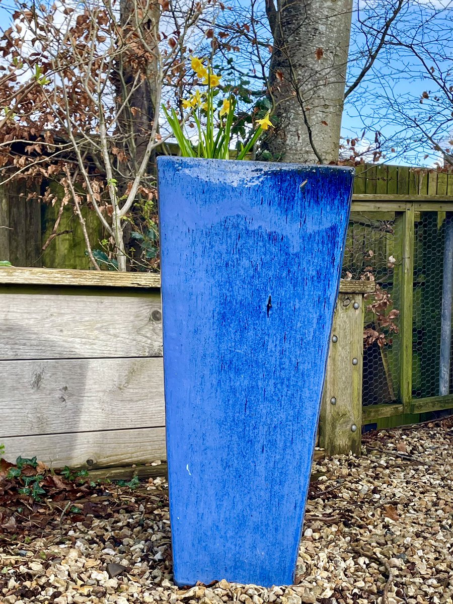 Stifyn Parri 🌈 tweet media