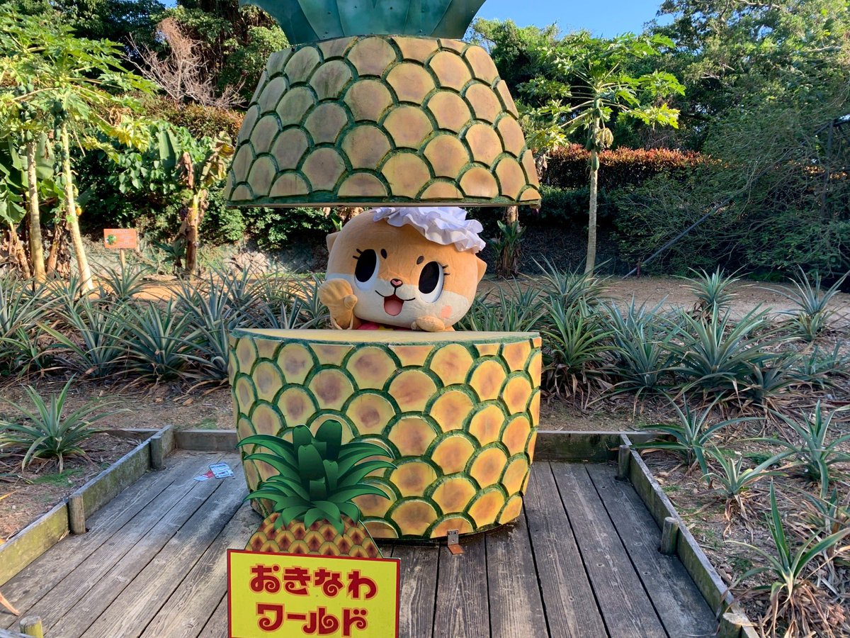 ちぃたん☆／Chiitan tweet media