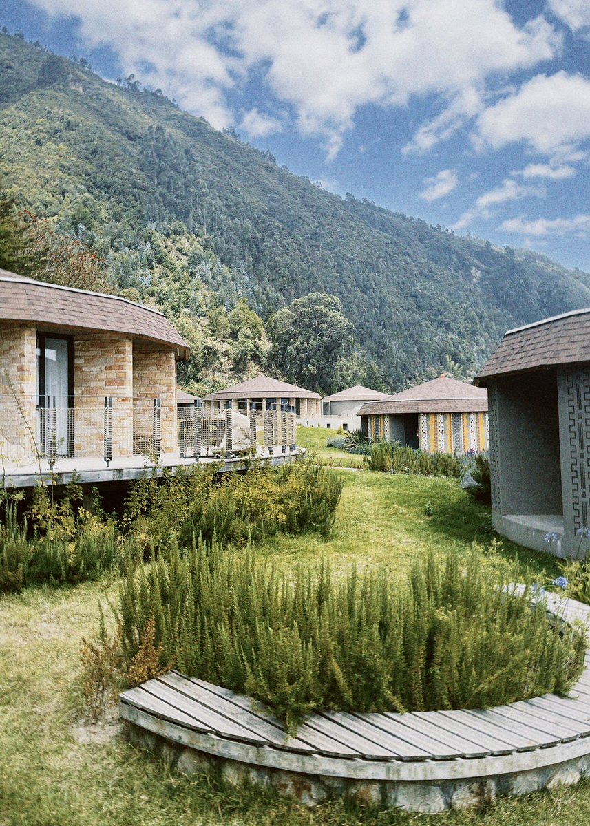 TSION HAILESELASSIE tweet media