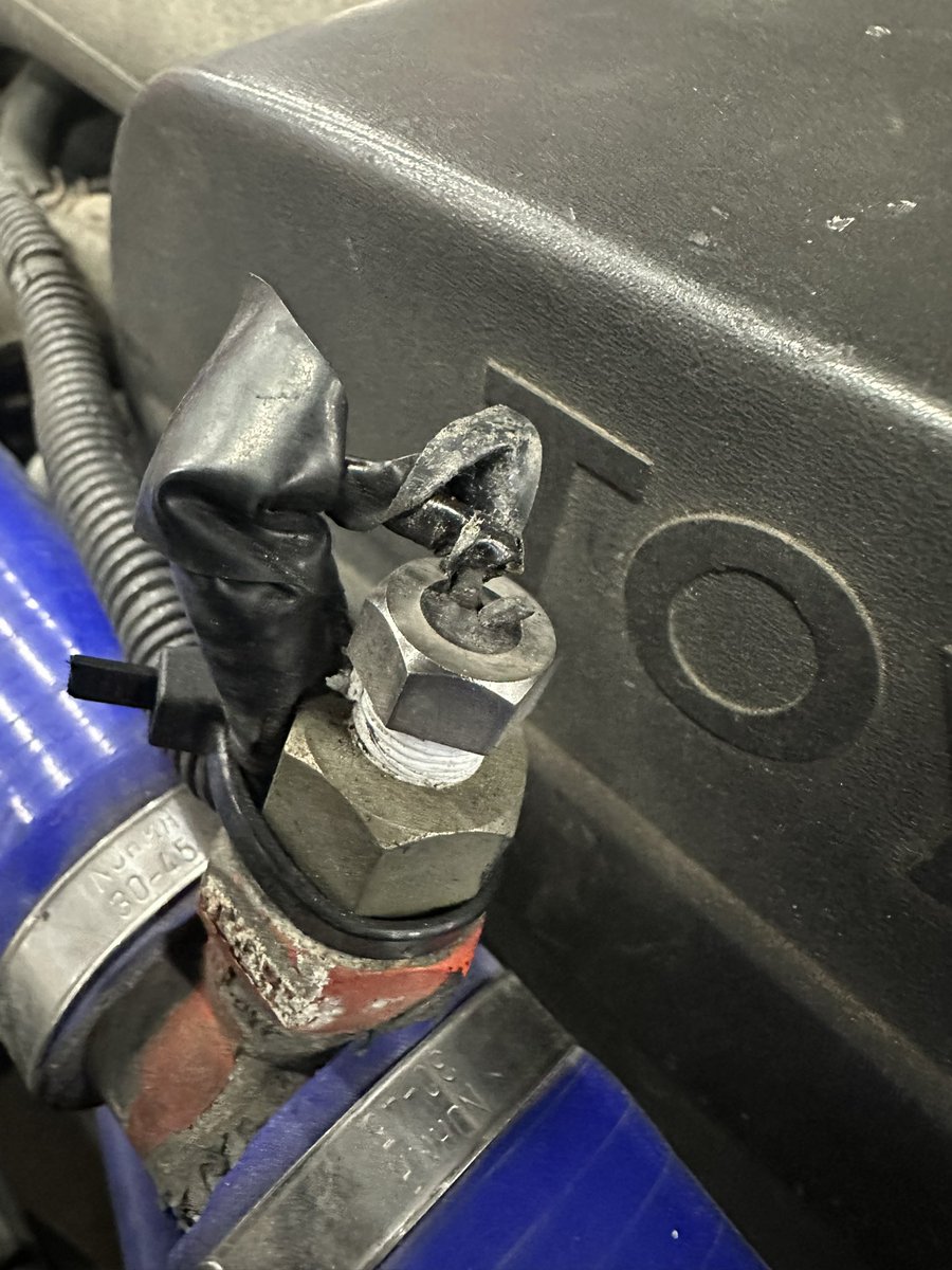 T.C.L.S.スーさん(芸名w) tweet media