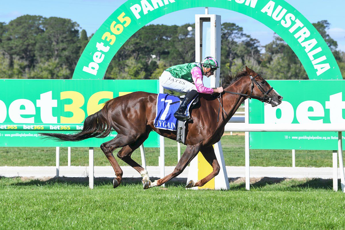 Liam Howley Racing tweet media