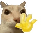 nervous Anne ✨ tweet media