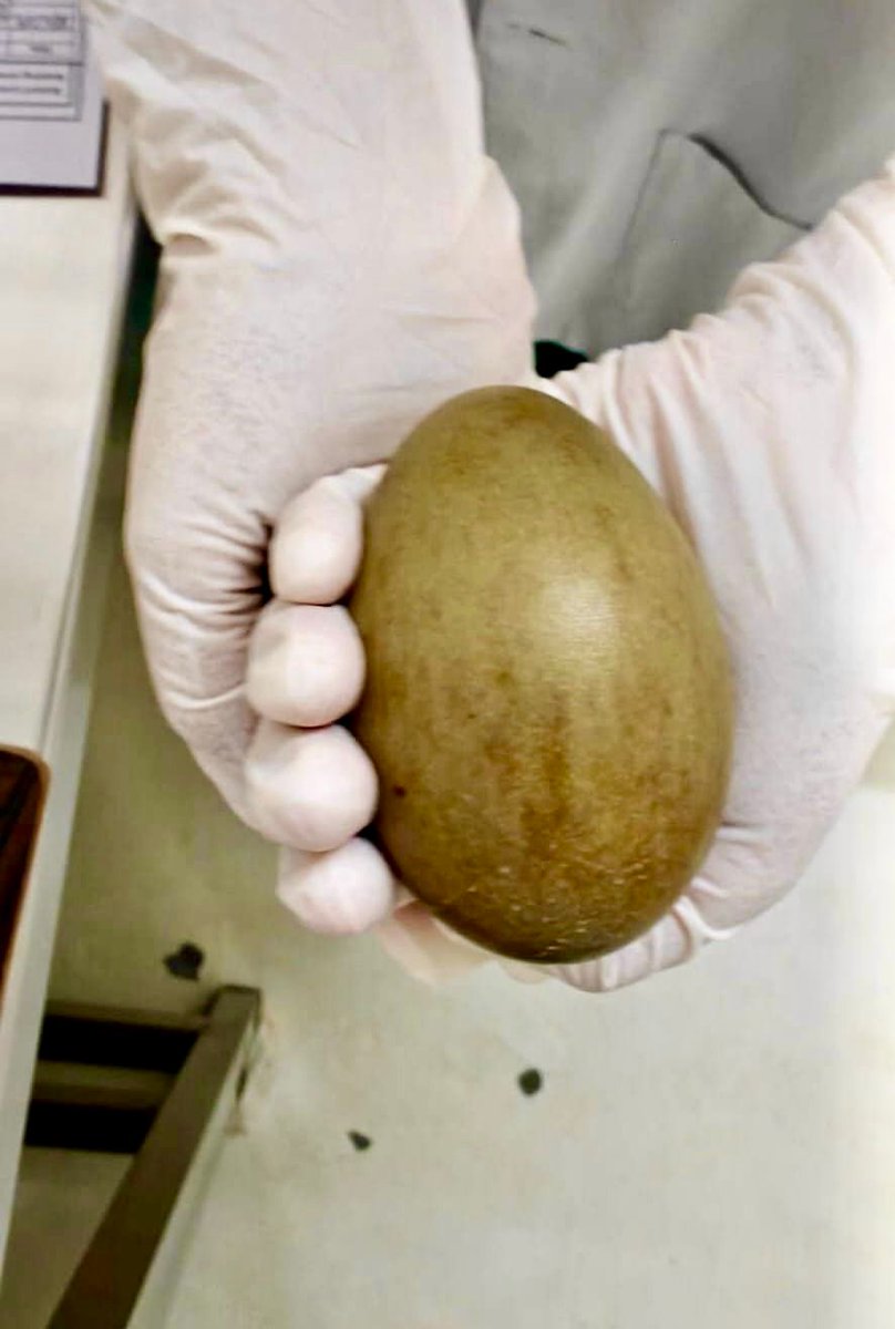 Bhupender Yadav tweet media