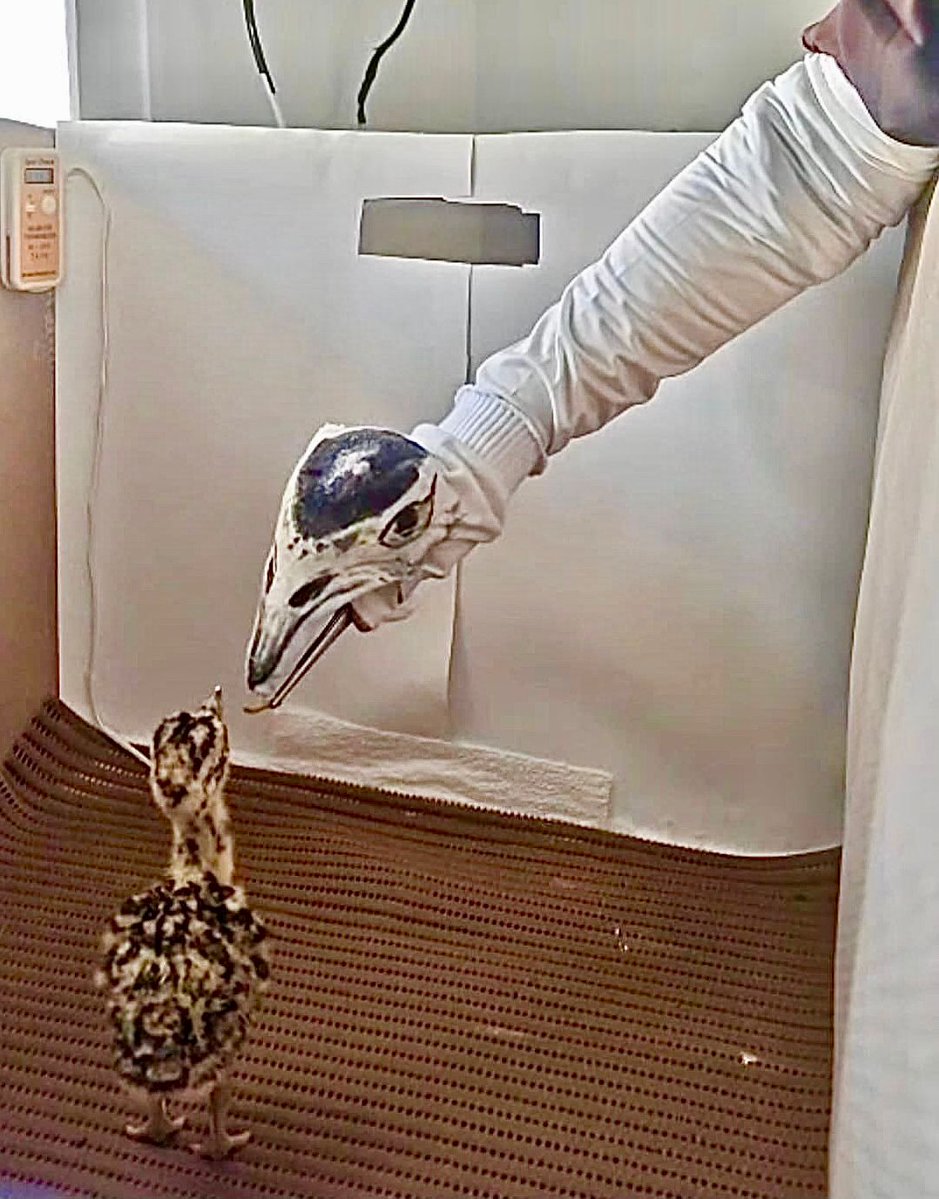 Bhupender Yadav tweet media