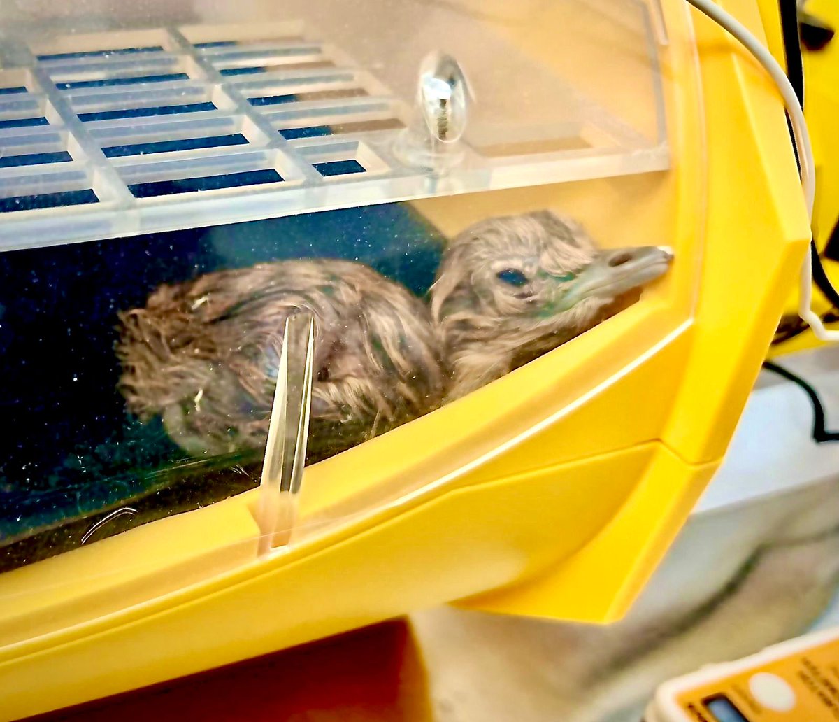 Bhupender Yadav tweet media