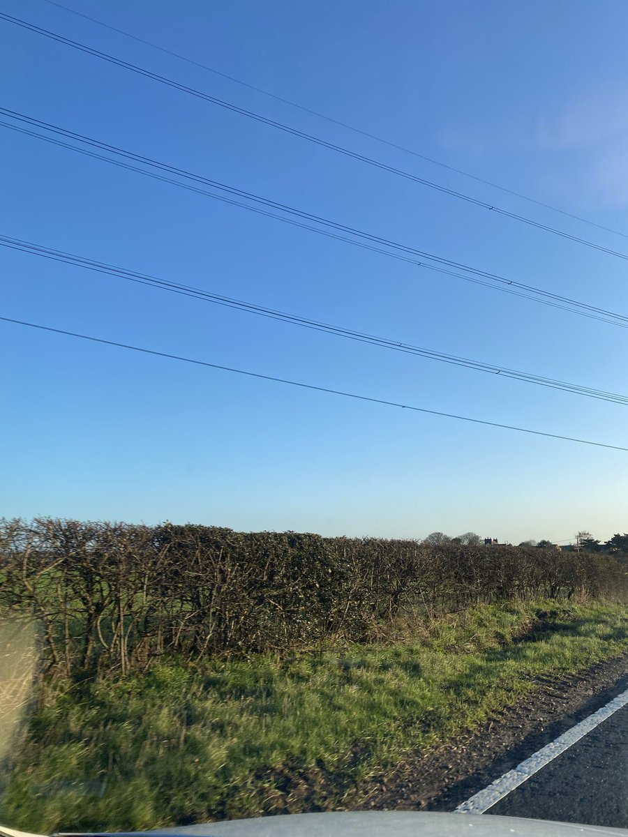 asmith6565's tweet image. Looks like we've been given the morning off from the #Chemtrails today round our way!!
#WeatherModification #GeoEngineering