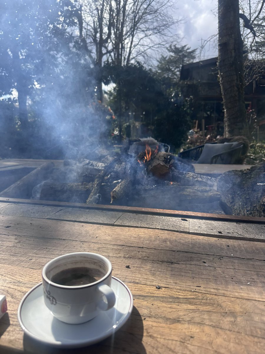 avukadohanim's tweet photo. Şöyle bir günaydın olabilirdi ama olmadı. Yine ofisteyiz ve kahvesiziz .. https://t.co/VJaw3LgQPt