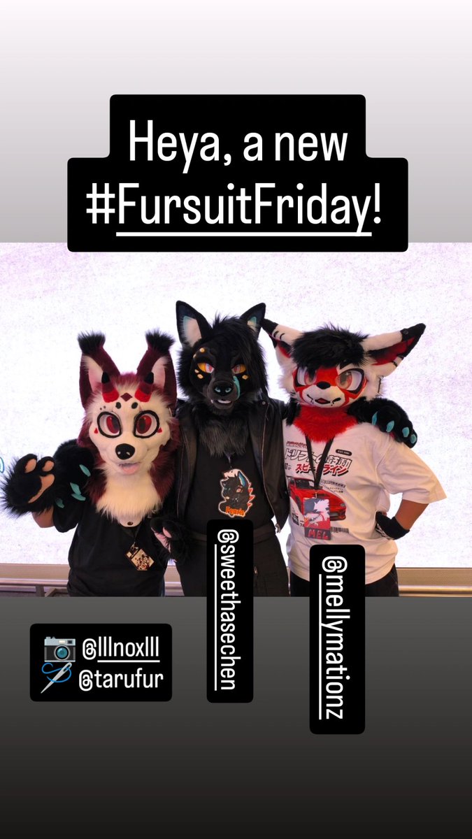 Markus Bruckmüller tweet media