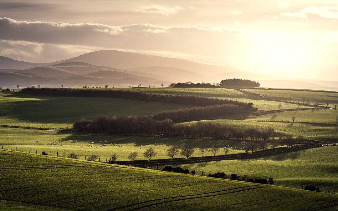 jimscottphoto's tweet photo. St. Cuthberts Way, Northumberland. https://t.co/vC1bfPBYbq