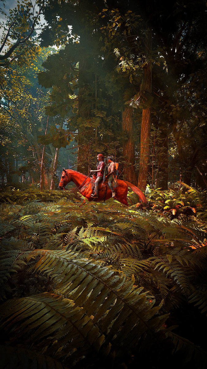 ORISH 🌿 tweet media