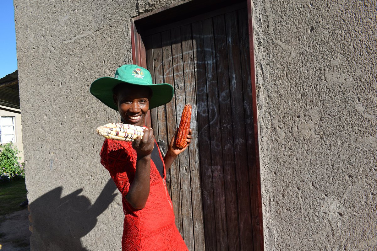 Embassy of Switzerland in Zimbabwe tweet media