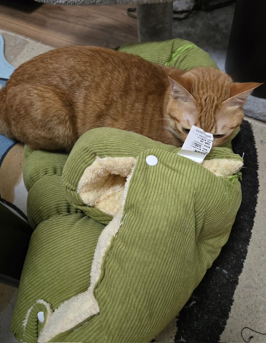 りかこ tweet media