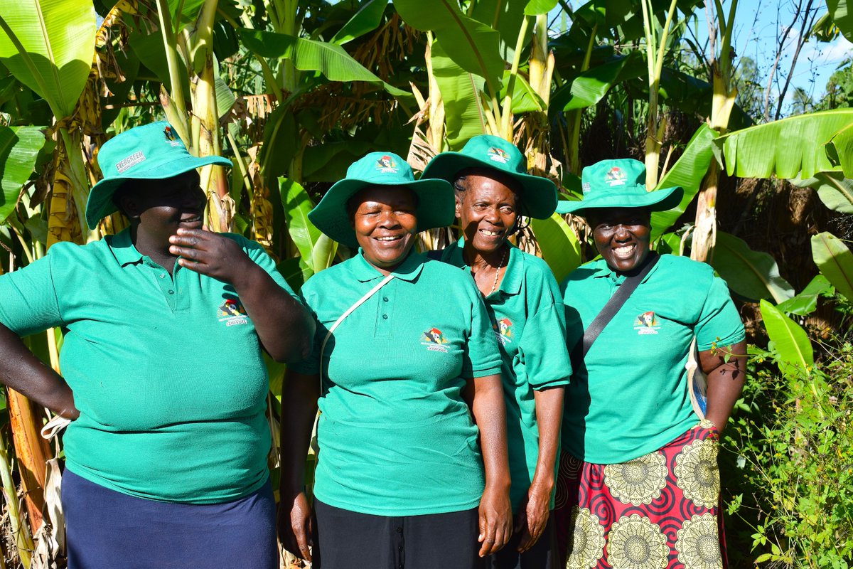 Embassy of Switzerland in Zimbabwe tweet media