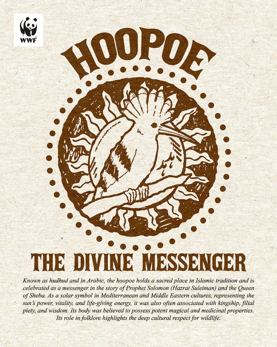 WWF-Pakistan tweet media