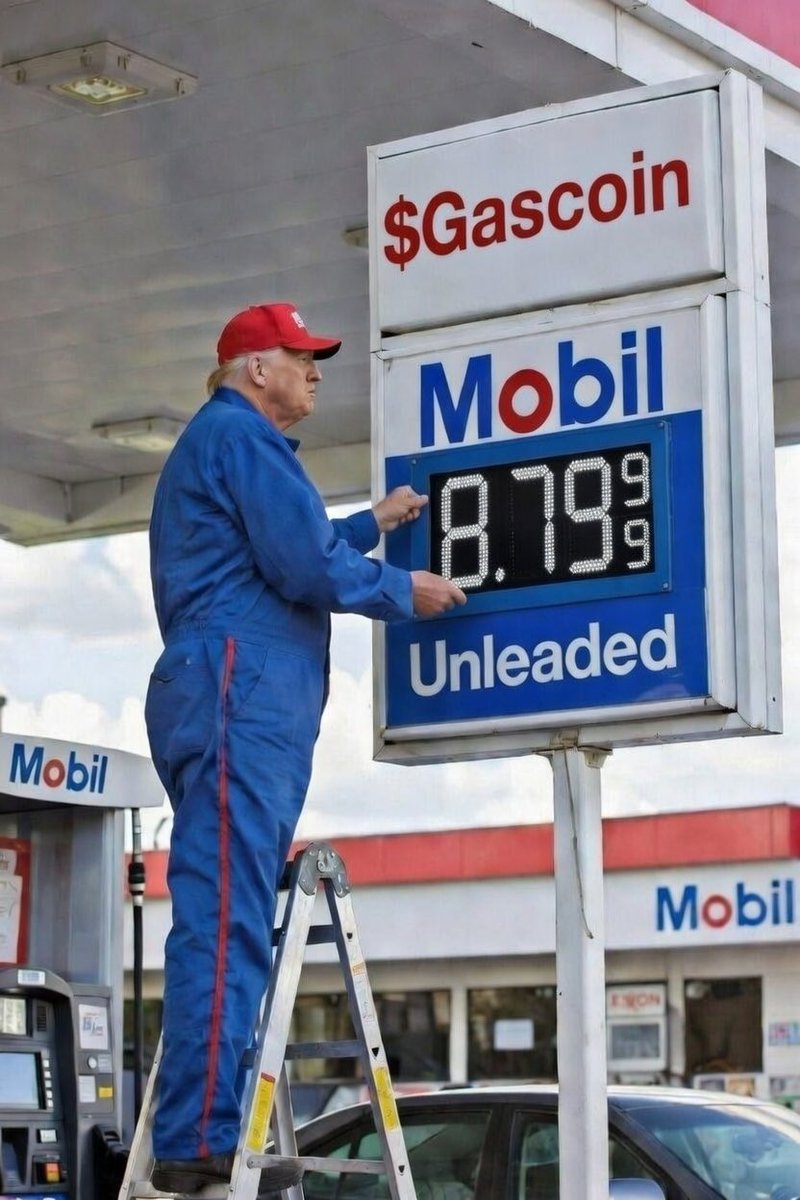 Trench Dog 1st division tweet media