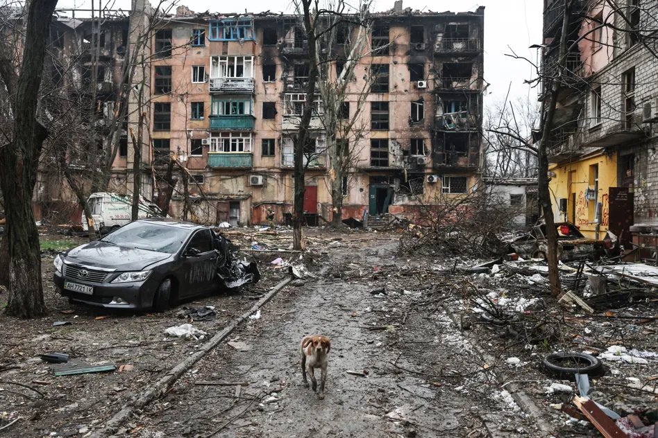 Iwona Janicka 🇵🇱🇪🇺🌳💚🤝⚡📐 tweet media