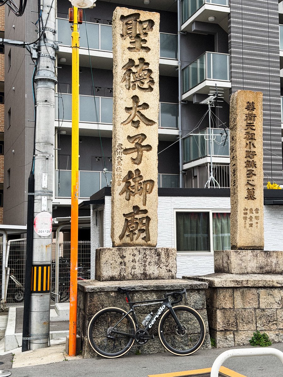 Kei Tsuji / 辻啓 tweet media