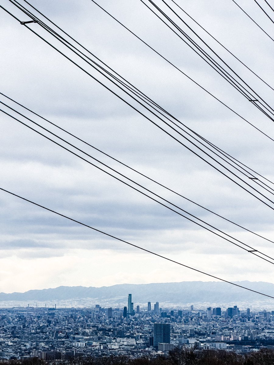 Kei Tsuji / 辻啓 tweet media