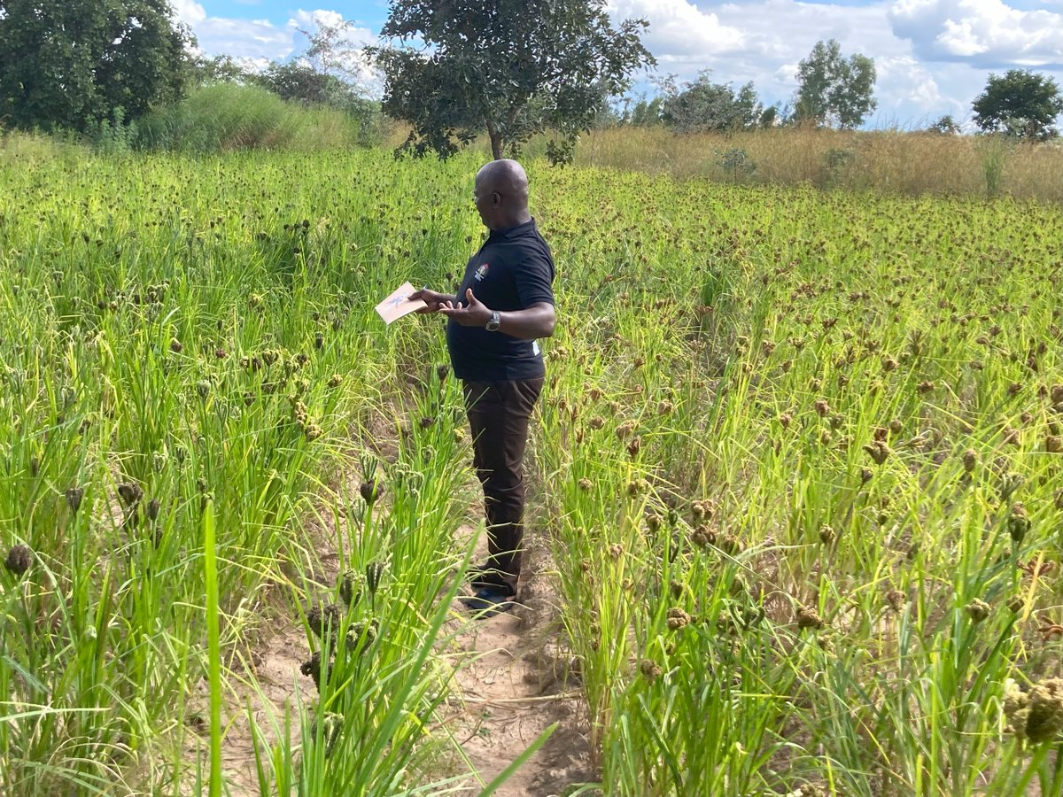 Embassy of Switzerland in Zimbabwe tweet media