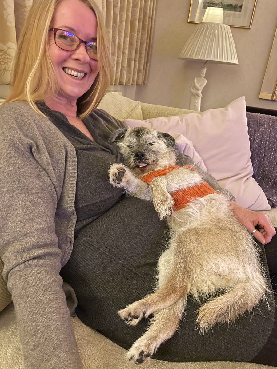 HeidiBT3 Lady caikey member of the house of woofs tweet media