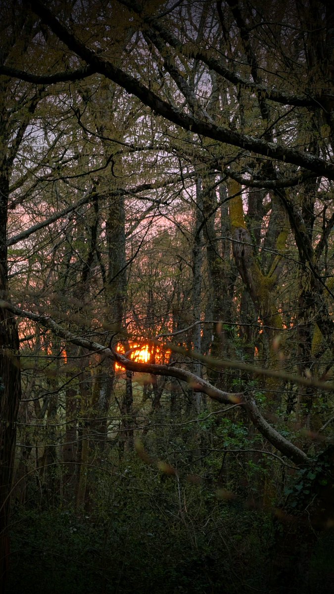 Cat 🧡 🐿 📸 tweet media