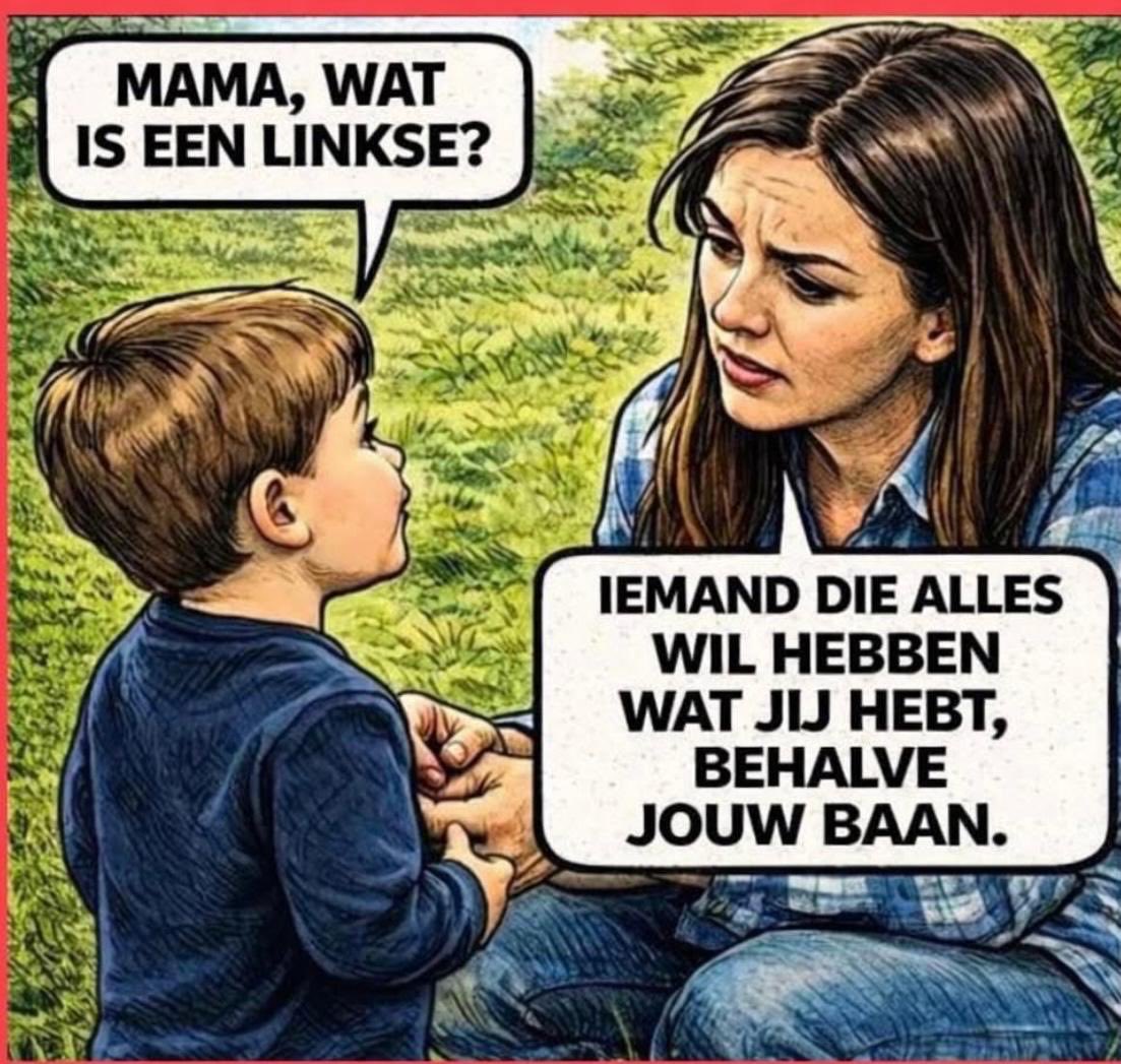 koos burgmeijer tweet media