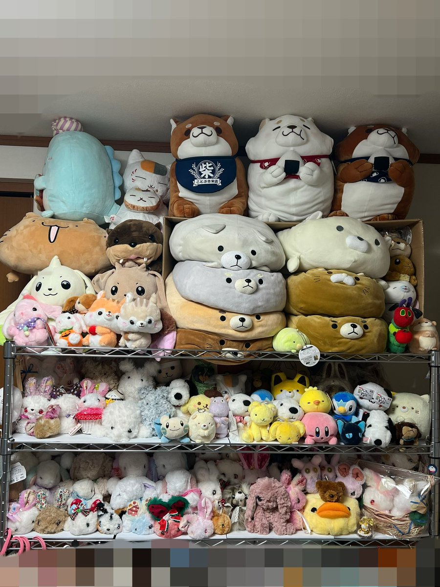 tsukihono's tweet photo. こんにちは😊
イベント続きでできていなかった部屋の片付けをしています！
自分の部屋のメタルラックをぬいぐるみの飾り棚にしました(*^^*)
3段目と2段目の一部は作家さんからお迎えしたハンドメイド作品です☺️
ぬいぐるみ多すぎ…😇😇😇
ちなみに飾りきれなかったぬいぐるみがまだ部屋にゴロゴロありますw

1番上のすみっコぐらしのとかげが横向いてるのは、向いてる先がドアなんです…。
母から「1つドアから見えるようにしたら？」と。
というわけで横向いてます！