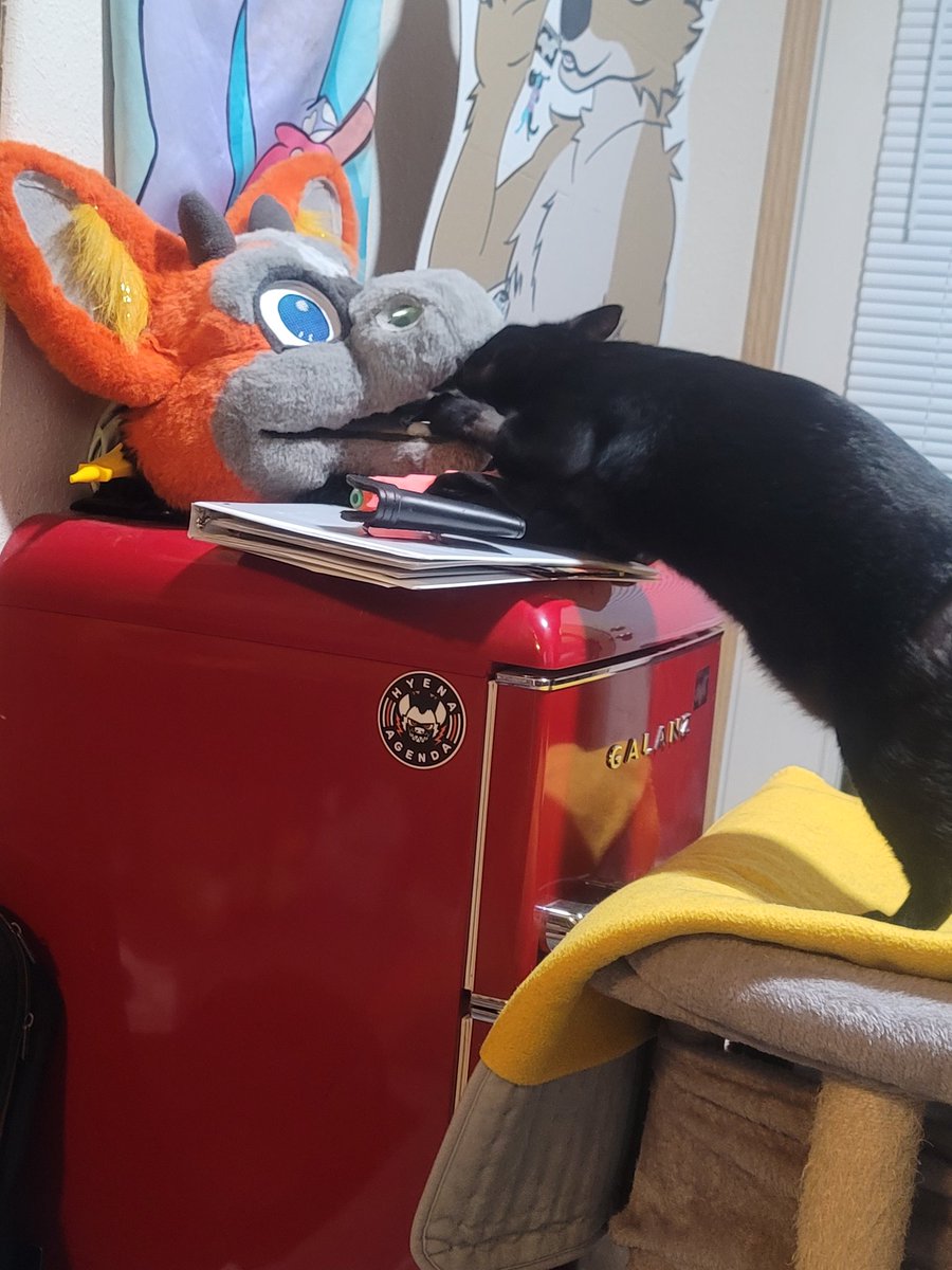 MasterAshKechum 🔜 TFF, AC? tweet media