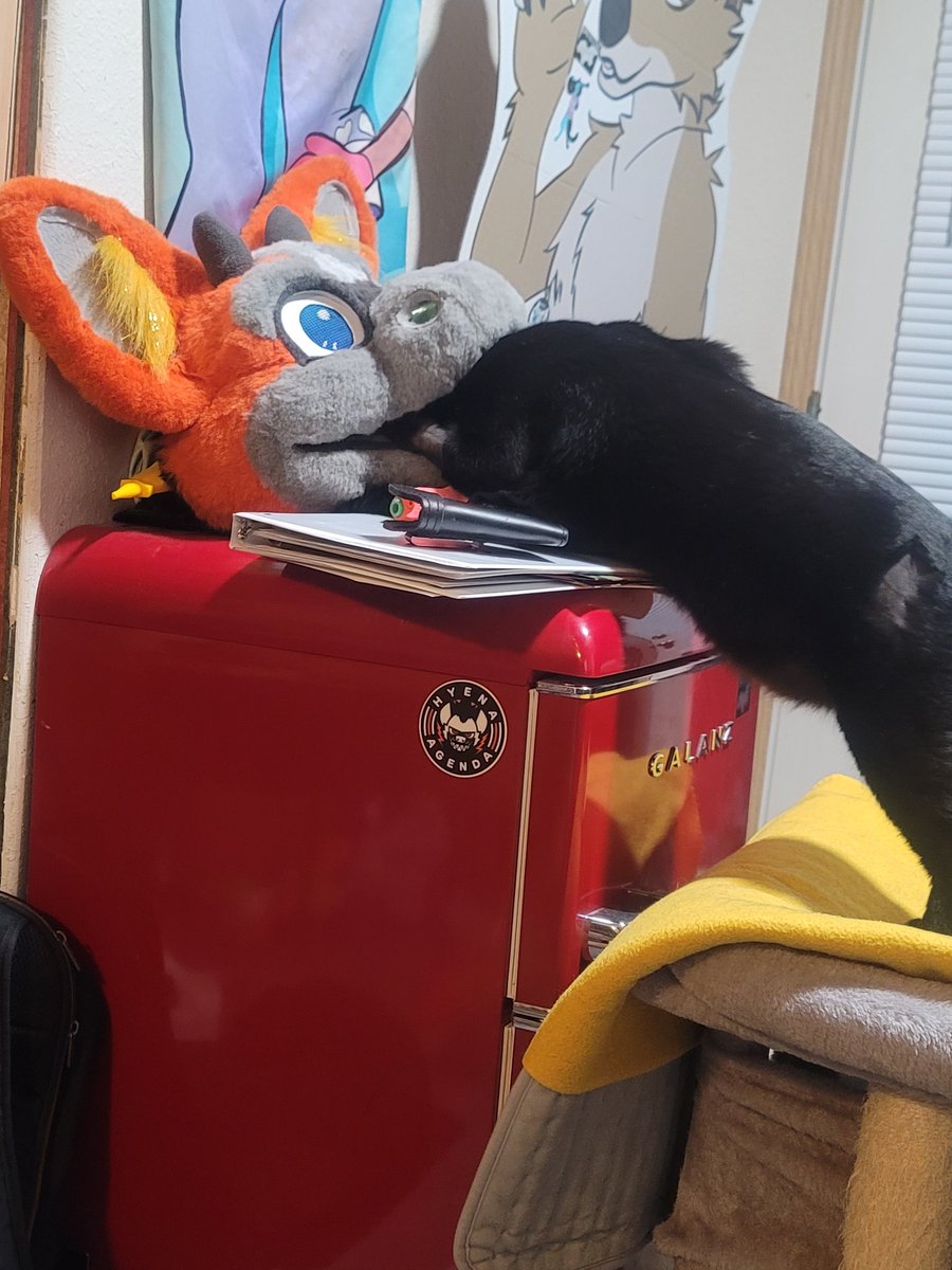 MasterAshKechum 🔜 TFF, AC? tweet media