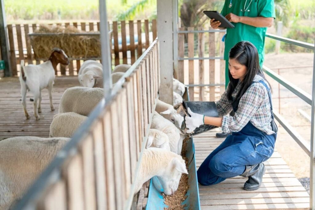 Sunil Kanoria tweet media