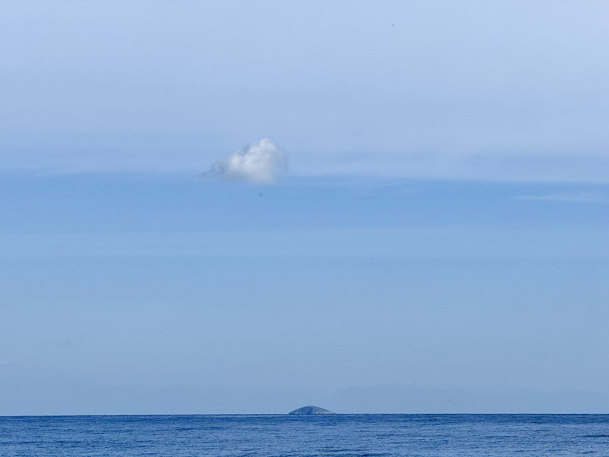 Katerina tweet media