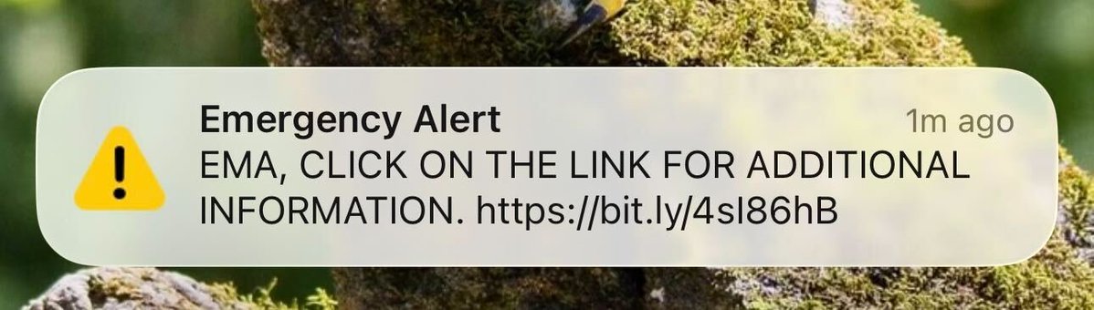 EV Falcon ⚡️🚙𓅃 tweet media