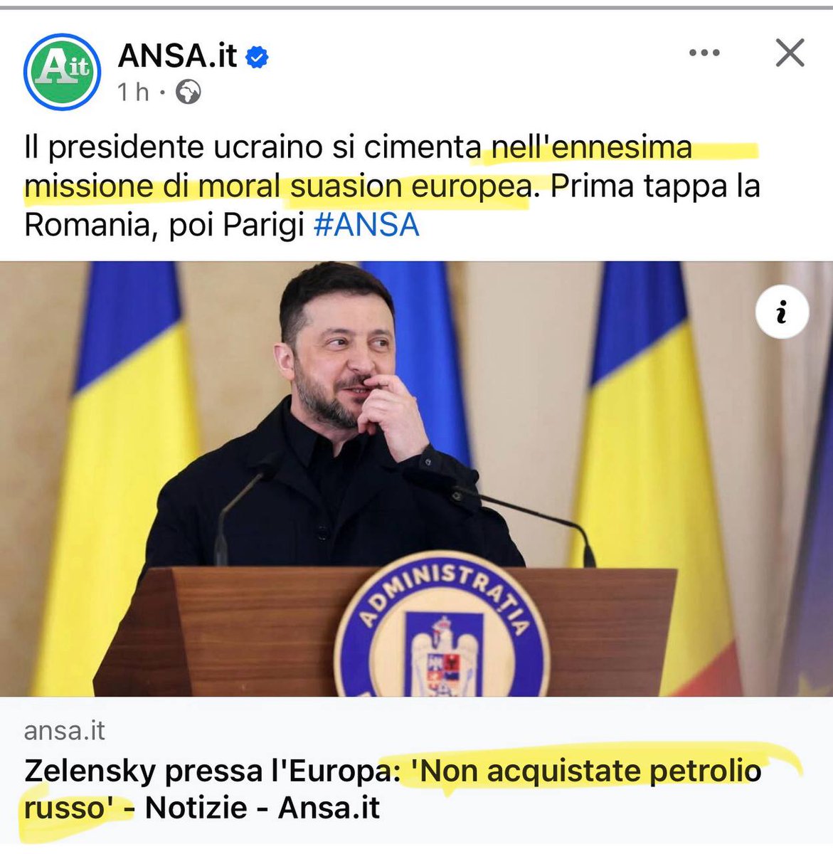 Sabrina F. tweet media