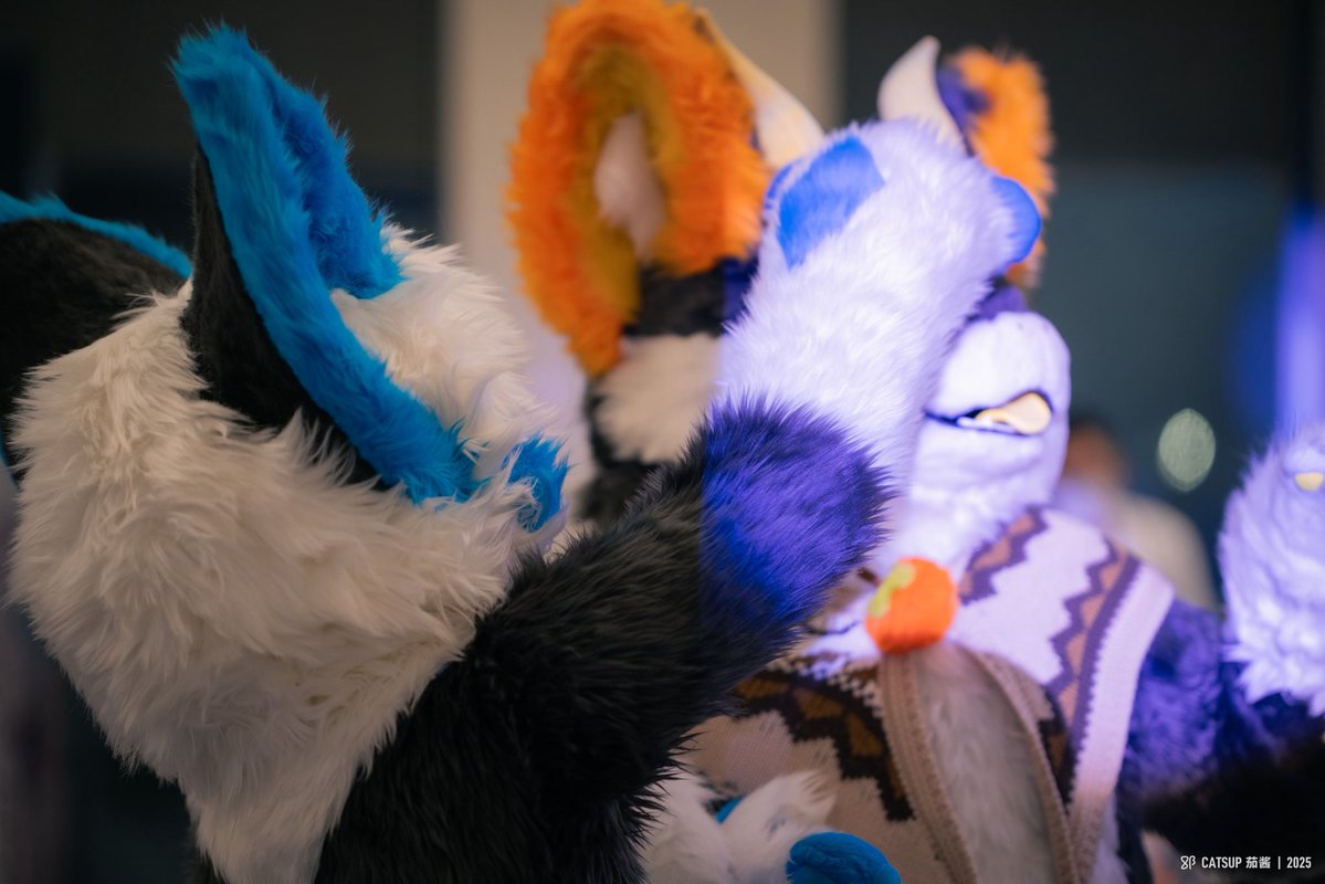 祤狐 / 藍影 tweet media