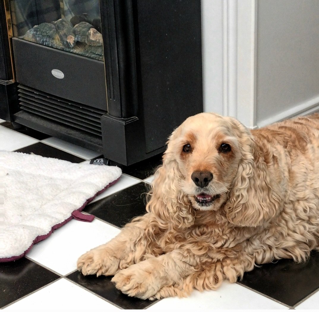 Belinda Buyze tweet media