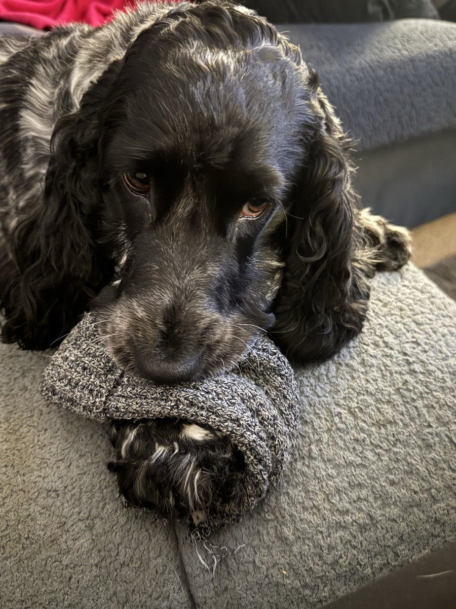 Sarah Godley tweet media