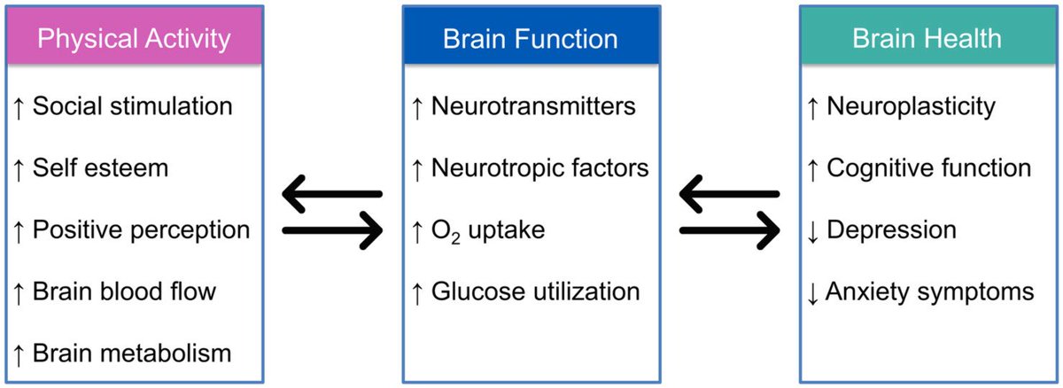 ChristophBurch's tweet photo. Physical activity and the aging brain: A narrative review
https://t.co/45RdhX128q https://t.co/v3Vy4pB2Zf