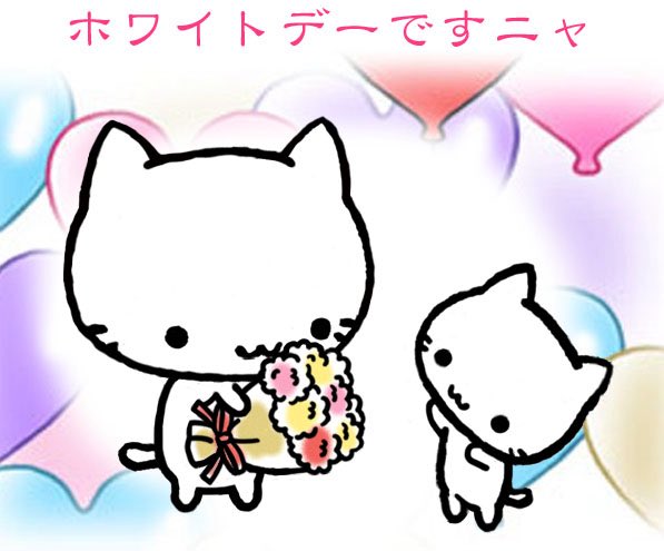 ミコちゃん tweet media
