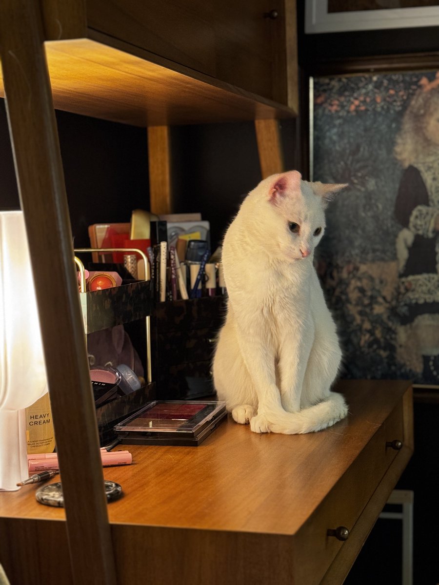 mpls molly tweet media