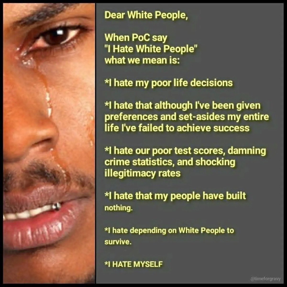 SheepDog tweet media