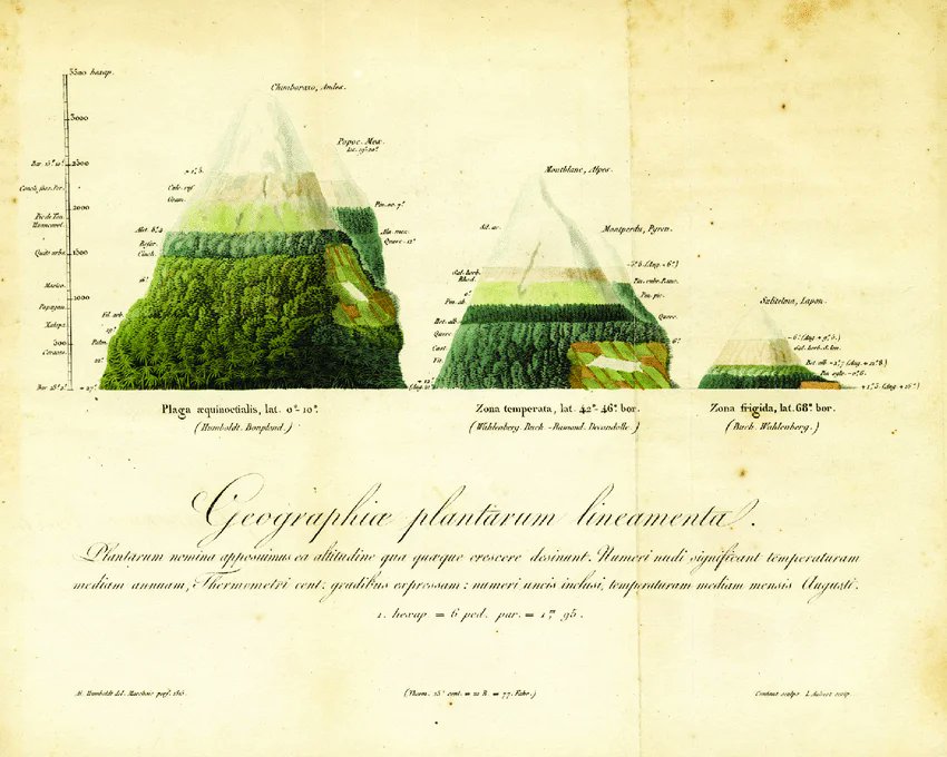 florencemeyer's tweet photo. Dans « Corpus Callosum – la newsletter des HPI », je vous présente Alexander von Humboldt, scientifique et poète, explorateur et penseur. Il a suivi sa curiosité pour explorer de nombreux domaines. Il inspirera les esprits atypiques !
À lire ici : https://t.co/pdYWqZI30f
#HPI https://t.co/tjxazU5Uh6
