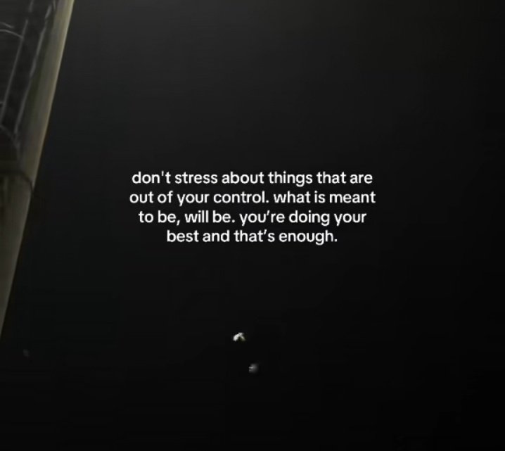 ꕀ ovιo ꕀ tweet media