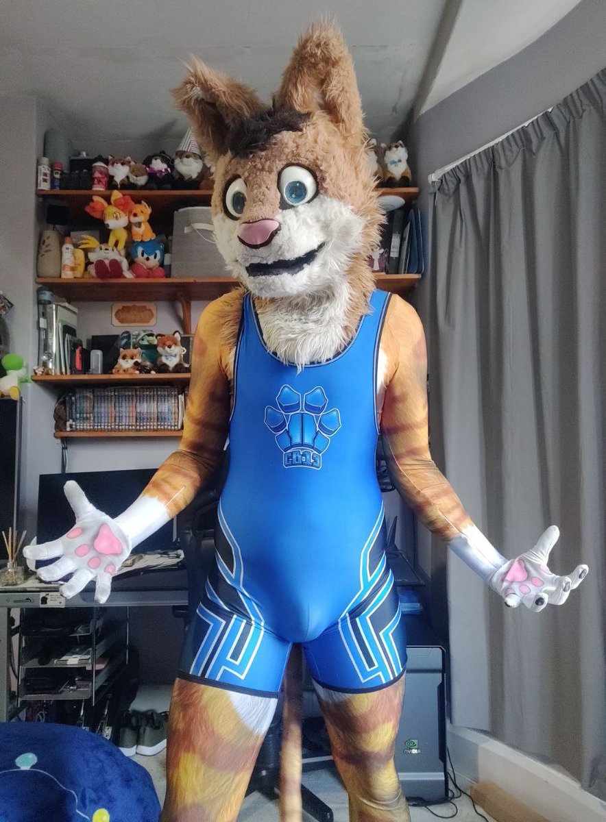 Neko Chan Punchi 🏳️🌈🐱 (Mr. Cat) tweet media