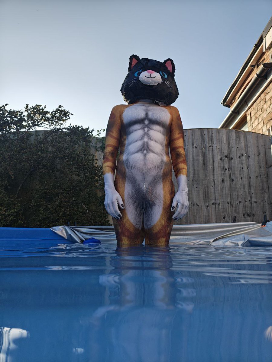 Neko Chan Punchi 🏳️🌈🐱 (Mr. Cat) tweet media