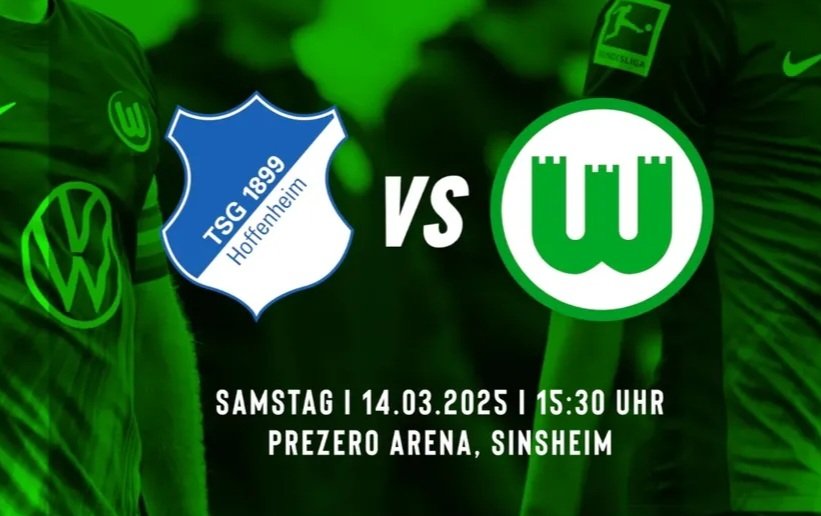 FasZINNation_Wolfsburg tweet media