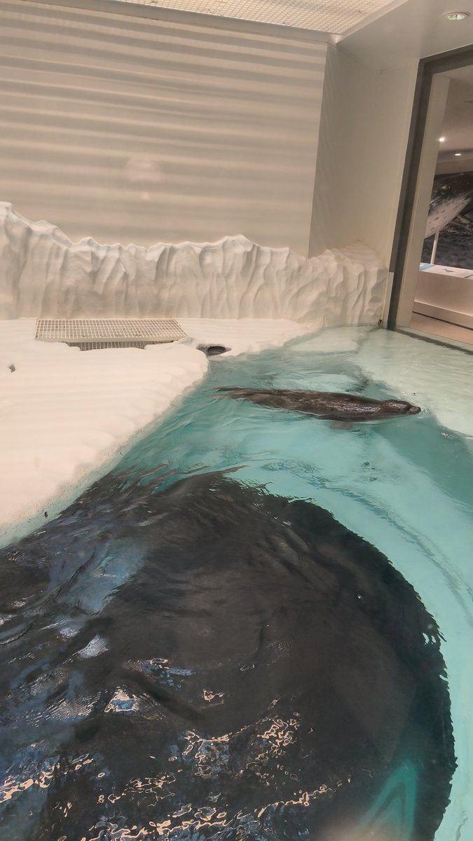 aurora on jupiter | Reze apologist tweet media