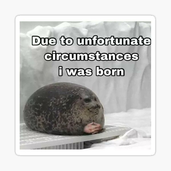 aurora on jupiter | Reze apologist tweet media