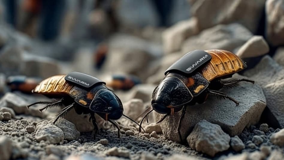 UnitedBharatUP's tweet image. ड्रोन के बाद अब जासूसी में कॉकरोच की एंट्री! जर्मनी की कंपनी SWARM Biotactics ने ऐसे रोबोटिक कॉकरोच बनाए हैं जिनकी पीठ पर कैमरा और सेंसर लगे हैं। AI की मदद से इन्हें कंट्रोल कर दुश्मन के ठिकानों और तंग जगहों में निगरानी के लिए भेजा जा सकता है।
#Germany #AITechnology #SpyTech