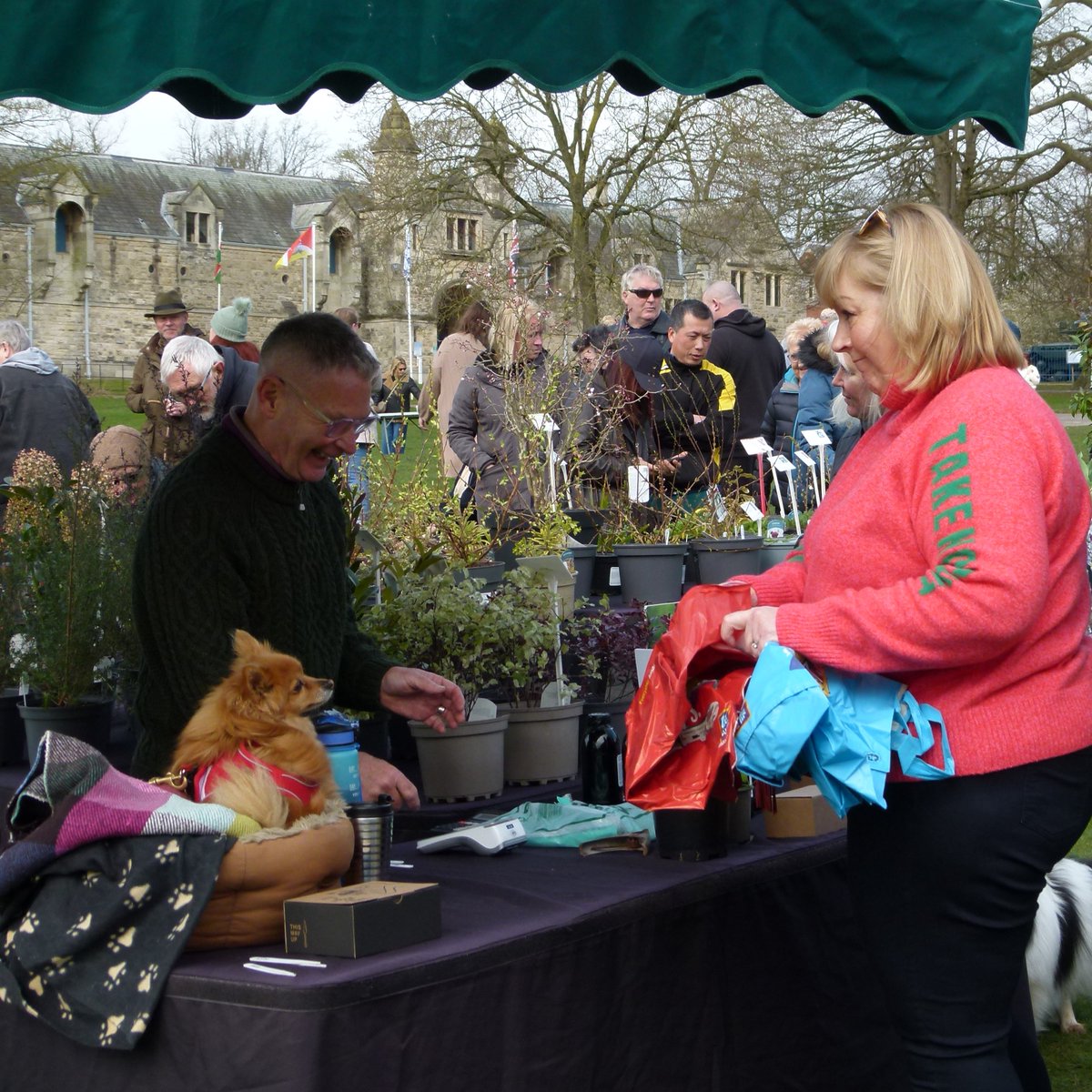 Plant Hunters Fairs tweet media