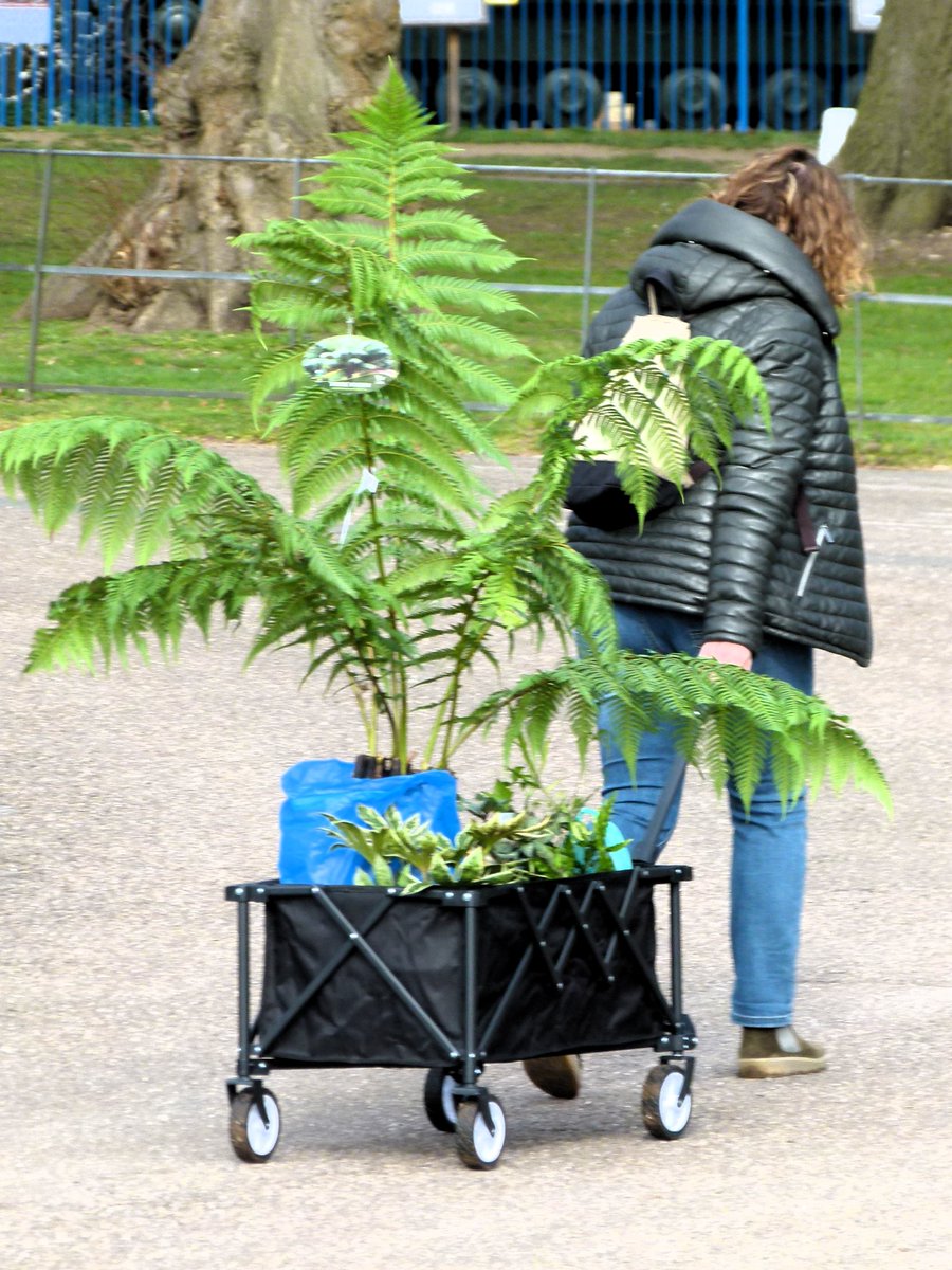 Plant Hunters Fairs tweet media